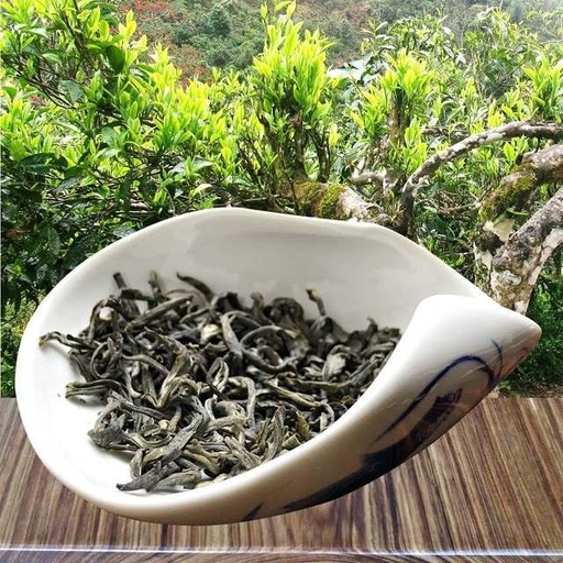 Trà Shan Tuyết
