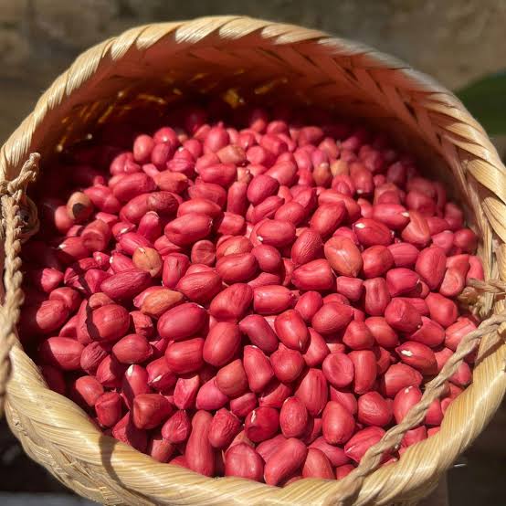 Lạc Đỏ Chà Nưa