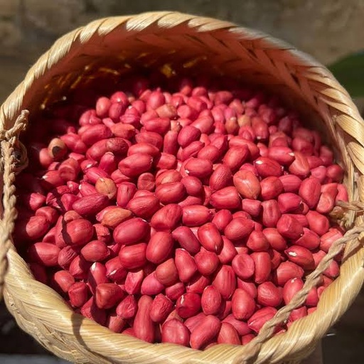 Lạc Đỏ Chà Nưa