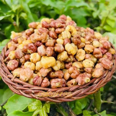 Ngô Nếp Nương Tím Sấy Giòn