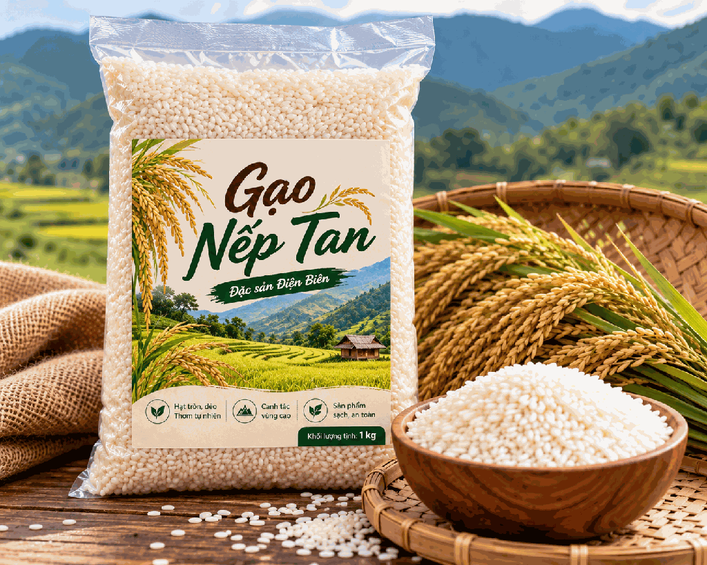 Gạo Nếp Tan Phình Giàng