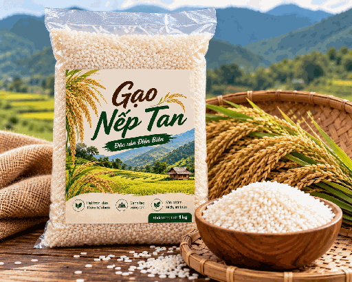 Gạo Nếp Tan Phình Giàng